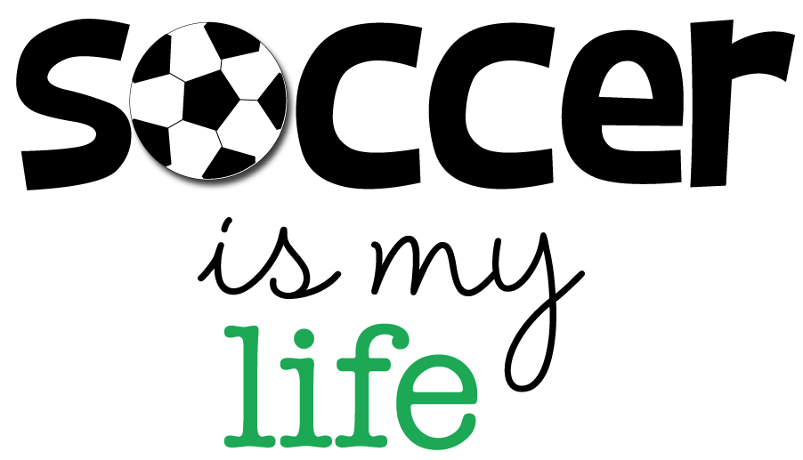 Lifecycle of a soccer ball   us epa